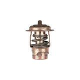 Thermostat 120F