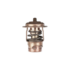 Thermostat 120F