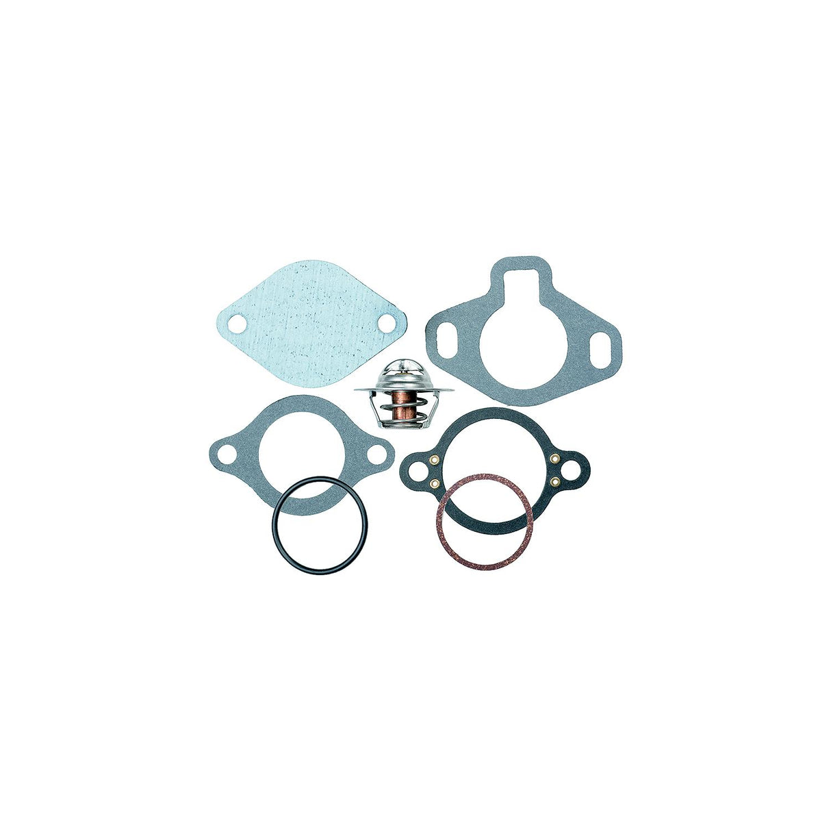 Thermostat Kit
