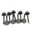 BUTTON THROTTLE @5, Pack of 5