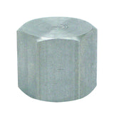 Anvil 1/4 in. FPT Malleable Iron Cap