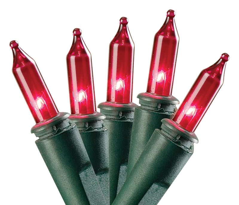 Hometown Holidays C10Y082C Light Set, Christmas, 120 V, 40.8 W, 100-Lamp, Red Lamp, 1000 hr Average Life