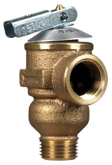 Cash Acme 1/2 in. Bronze Pressure Relief Valve