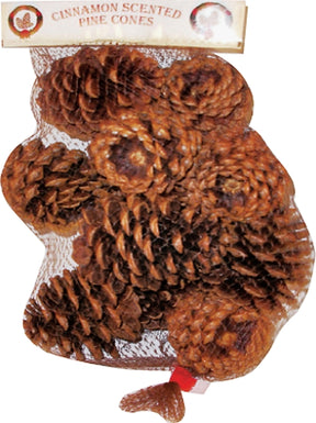 Hometown Holidays 70410-20 Christmas Specialty Decoration, Scented Pine Cone, Wood/Cinnamon Oil, Brown, Pack of 20