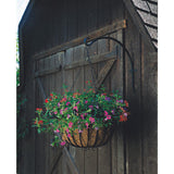 Panacea Black Iron 16 in. H Curved Plant Hook 1 pk