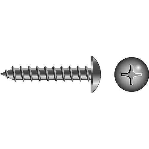 Phillips Tapping Screw - Truss Head#6 x 1"