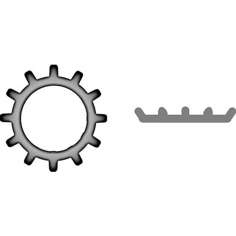 Stainless External Tooth Lock Washer3/8"