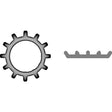 Stainless External Tooth Lock Washer 1/4"