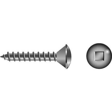 Square Tapping Screw - Oval Head #8 x 1"