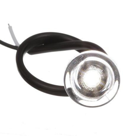 Seachoice 05481 LED Mini Accent Livewell Light, White