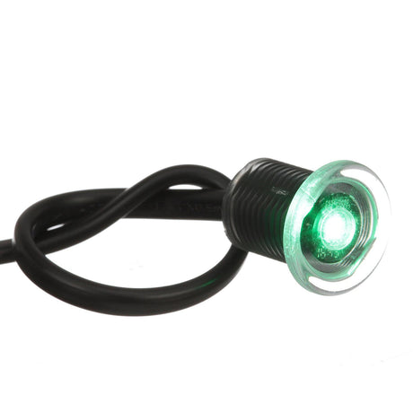 Seachoice 05511 LED Mini Accent Livewell Light, Green