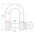 Seachoice Stainless Steel "D" Anchor Shackle