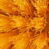 Seachoice 90581 Deck Brush with Bumper and Threaded Adapter, Medium