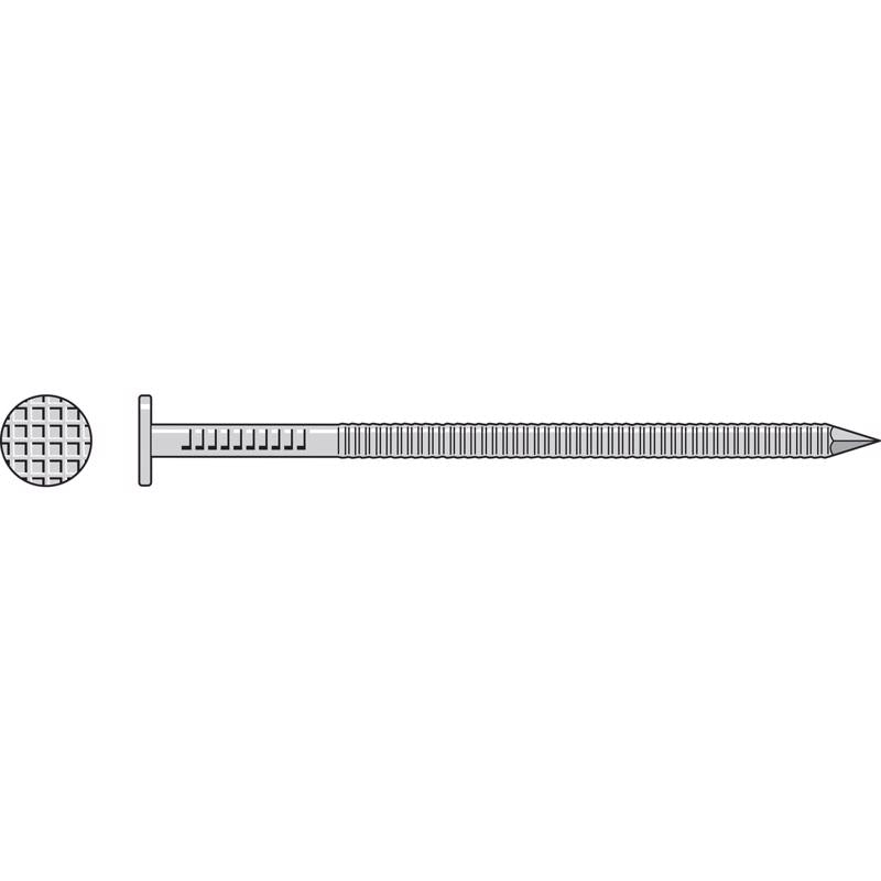 Simpson Strong-Tie 10D 3 in. Deck Coated Stainless Steel Nail Round Head 5 lb