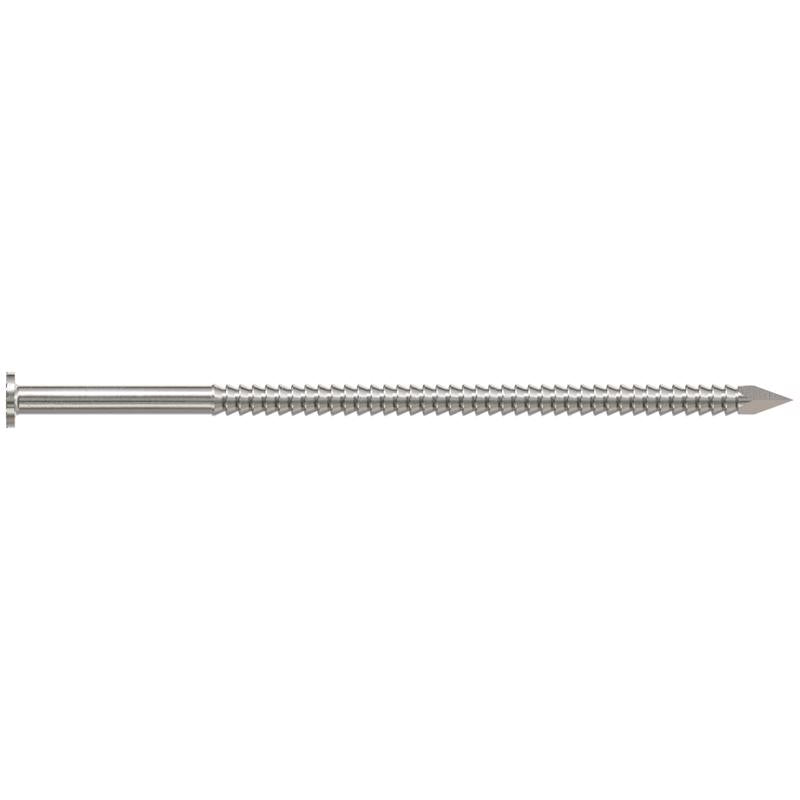 Simpson Strong-Tie 10D 3 in. Deck Coated Stainless Steel Nail Round Head 1 lb