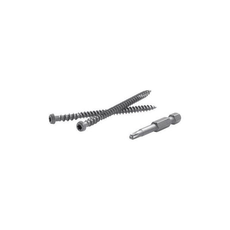 FastenMaster TrapEase No. 20 X 2-1/2 in. L Gravel Path Torx Ttap Star Head Composite Deck Screws 75
