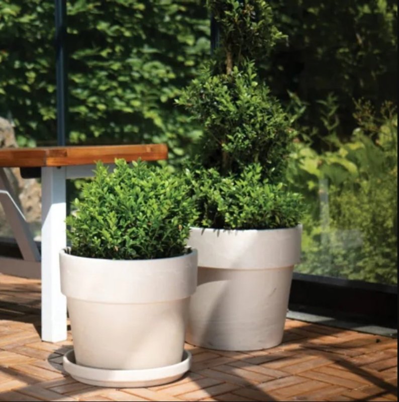 Border Concepts 805564 Pot, 11-1/2 in Dia, 9-3/4 in H, Calima Design, Granite Clay, Terracotta, Pack of 2