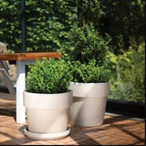 Border Concepts 805559 Pot, 6 in Dia, 5-1/4 in H, Granite Clay, Terracotta, Pack of 16