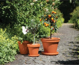 BCI German Terracotta 801691 Waterproof Saucer, 9-1/2 in W, Clay, Red, Pack of 10
