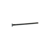 Grip-Rite 12D 3-1/4 in. Common Bright Steel Nail Flat Head 5 lb, Pack of 6
