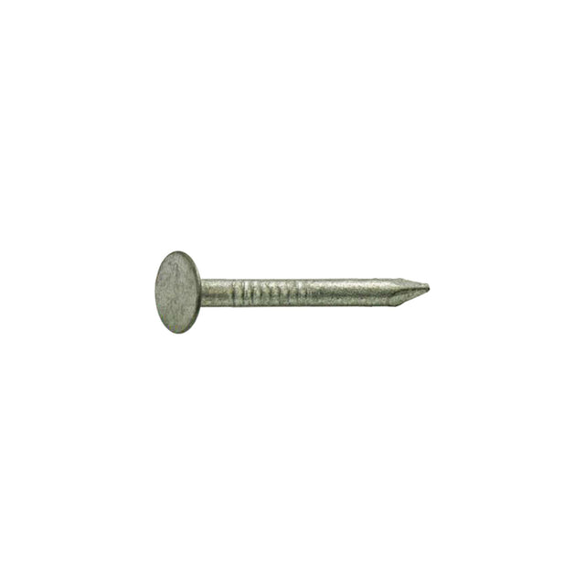 Grip-Rite 2-1/2 in. Roofing Hot-Dipped Galvanized Steel Nail Flat Head 1 lb, Pack of 12