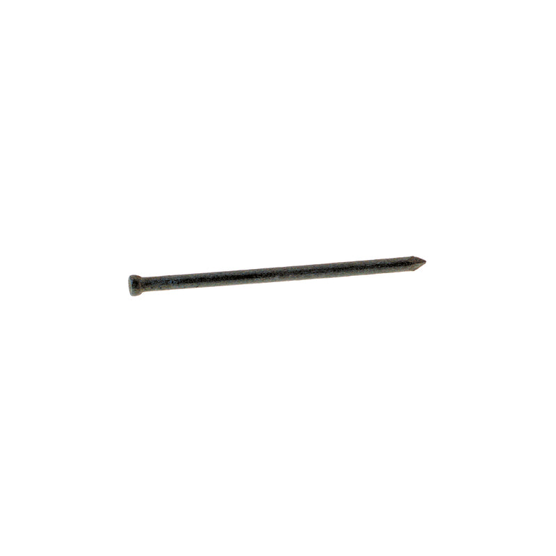 Grip-Rite 10D 3 in. Finishing Hot-Dipped Galvanized Steel Nail Brad Head 5 lb, Pack of 6