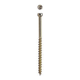SPAX PowerTrim No. 8 in. X 2-1/2 in. L Star Round Head Serrated Trim Screws