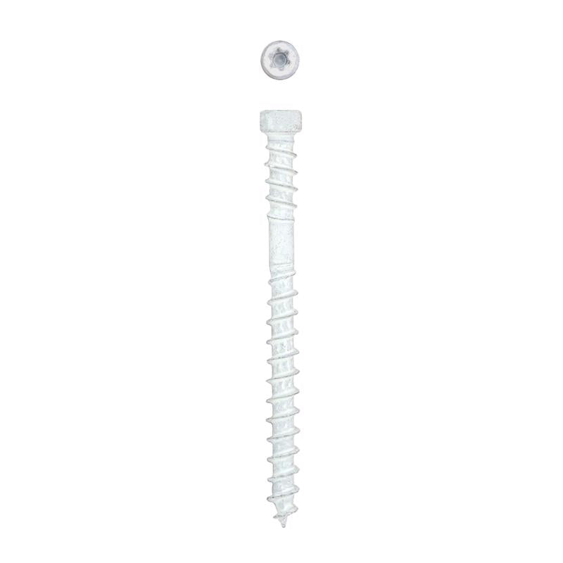 SPAX PowerTrim No. 8 Label X 2 in. L Star Trim Head Serrated Trim Screws
