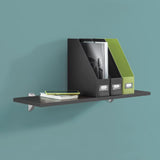 Dolle Lite .75 in. H X 23.6 in. W X 7.9 in. D Black Wood Shelf Board, Pack of 2