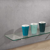 Dolle Glassline 0.31 in. H X 23.6 in. W X 5.9 in. D Clear Glass Shelf, Pack of 3