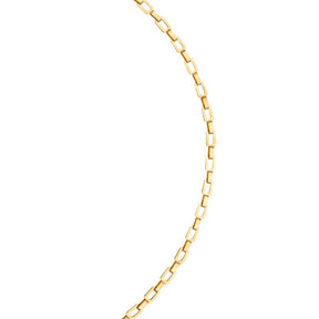 Koch Industries 1/0 in. Oval Link Brass Chain 0.177 in. D X 10 ft. L