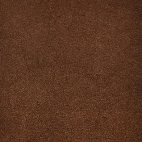 Dolle Loop 9.4 in. H X 1.2 in. W X 9.8 in. D Brown Leather Shelf Bracket, Pack of 8