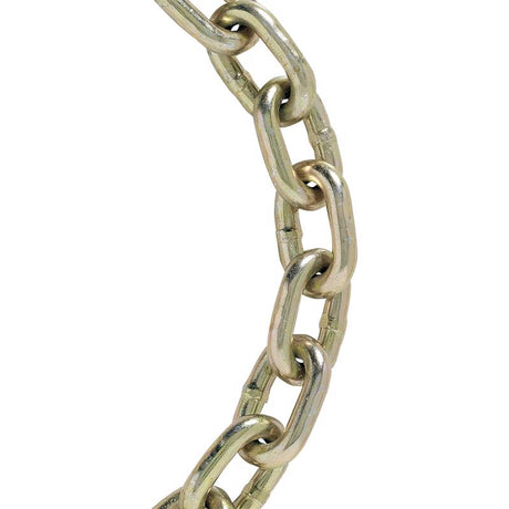 Koch Industries 5/16 Sizes Welded Carbon Steel Transport Chain 5/16 in. D X 10 ft. L, Pack of 6
