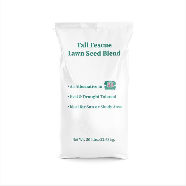 Barenbrug 14074 Grass Seed, 50 lb Bag, 10,000 sq-ft Coverage Area, Tall Fescue