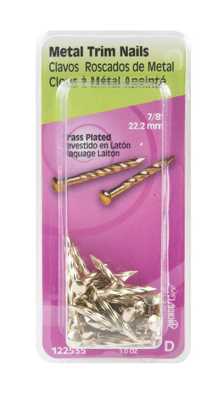 HILLMAN 7/8 in. Trim Brass-Plated Steel Nail Flat Head, Pack of 6
