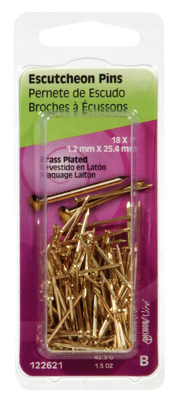 HILLMAN 18 Ga. X 1 in. L Brass-Plated Steel Escutcheon Pins 1 pk 1.5 oz, Pack of 6