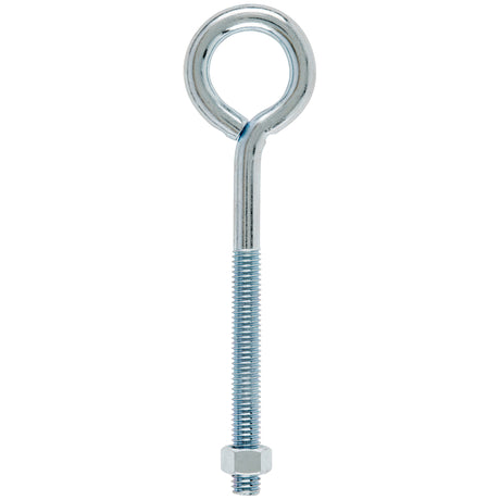 Hampton 3/8 in. X 6 in. L Zinc-Plated Steel Eyebolt Nut Included, Pack of 10