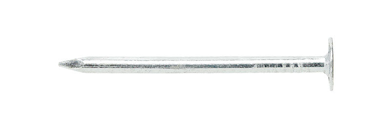 Ace 2 in. Roofing Electro-Galvanized Steel Nail Large Head 5 lb
