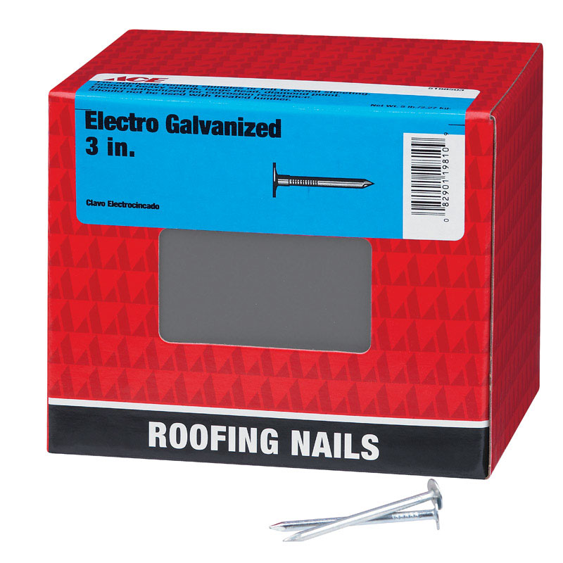 Ace 3 in. Roofing Electro-Galvanized Steel Nail Large Head 5 lb