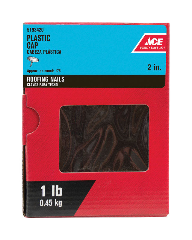 Ace 2 in. Roofing Galvanized Plastic/Steel Nail Flat Head 1 lb