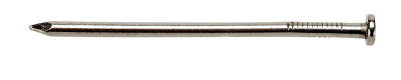 Ace 6D 2 in. Common Bright Steel Nail Round Head 5 lb