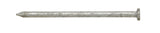 Ace 16D 3-1/2 in. Common Hot-Dipped Galvanized Steel Nail Flat Head 5 lb