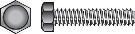 HILLMAN 5/16 in. D X 3 in. L Zinc Plated Steel Hex Tap Bolt 100 pk