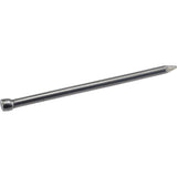 HILLMAN 6D 2 in. Finishing Polished Steel Nail Large Head, Pack of 6