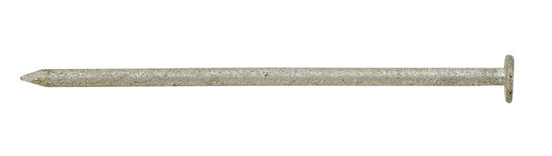 Ace 16D 3-1/2 in. Box Hot-Dipped Galvanized Steel Nail Flat Head 5 lb