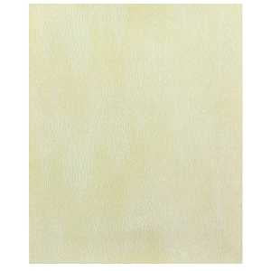 Gator 3389 Premium Sanding Sheet, 11 in L, 9 in W, 400 Grit, Aluminum Oxide Abrasive, Latex Paper Backing