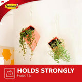 3M Command Small Plastic Designer Hooks 2.125 in. L 2 pk, Pack of 6
