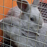 IronRidge 24 in. H X 15 ft. L Galvanized Steel Welded 1 in. X 1 in. in.