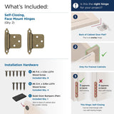 Amerock 1-3/4 in. W X 2-3/4 in. L Burnished Brass Steel Self-Closing Hinge 2 pk