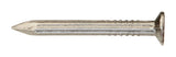 Ace 8D 2-1/2 in. Masonry Bright Steel Nail Flat Head 1 lb